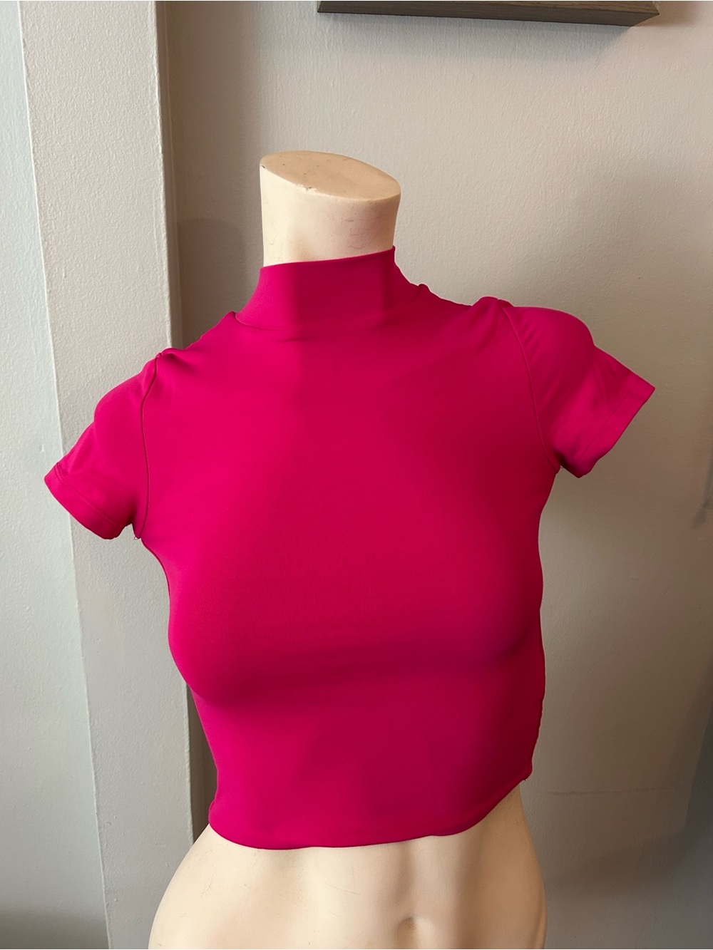 Babaton / aritzia Fitted High-Neck Crop Top in Hot Pink